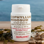 Flacon de 'Algue Ascophyllum Nodosum Bio' de Vitalosmose posé sur une surface rocheuse, entouré de différentes algues séchées. L'arrière-plan flou évoque un environnement marin, mettant en lumière l'origine et les bienfaits du produit.