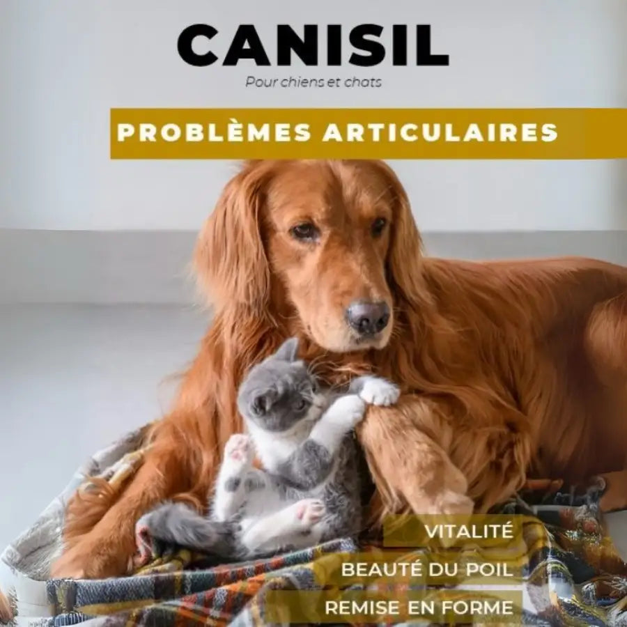 Les bienfaits de Canisil chien et chat de Labo Demeter
