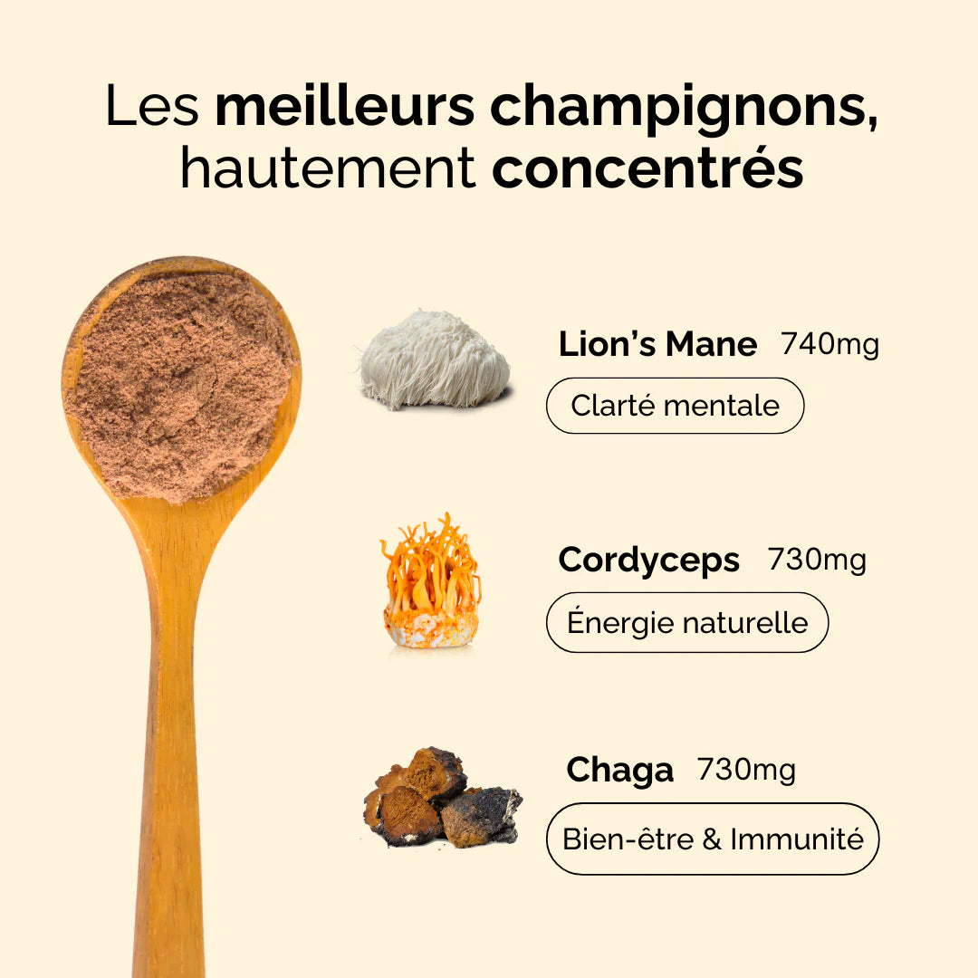 La composition exacte du super café aux champignons adaptogènes bonjour drink
