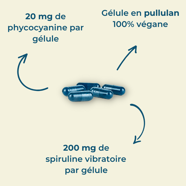 Composition de chaque gélule de cure de Phycocyanine & Spiruline Chien & Chat Life's code