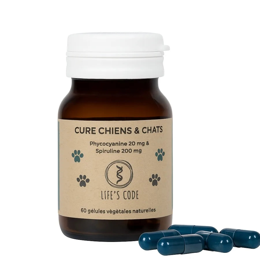 Une boite de cure de Phycocyanine & Spiruline Chien & Chat Life's code