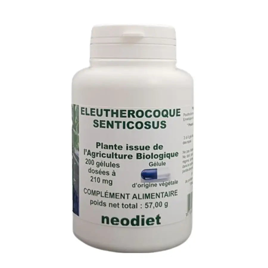 Racine de ginseng sibérien (éleuthérocoque) - Bienfaits et dangers