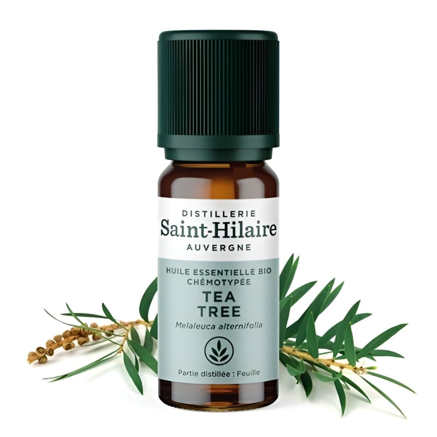 Un flacon d'Huile essentielle de Tea Tree Bio de la distillerie Saint-Hilaire en 10ml.