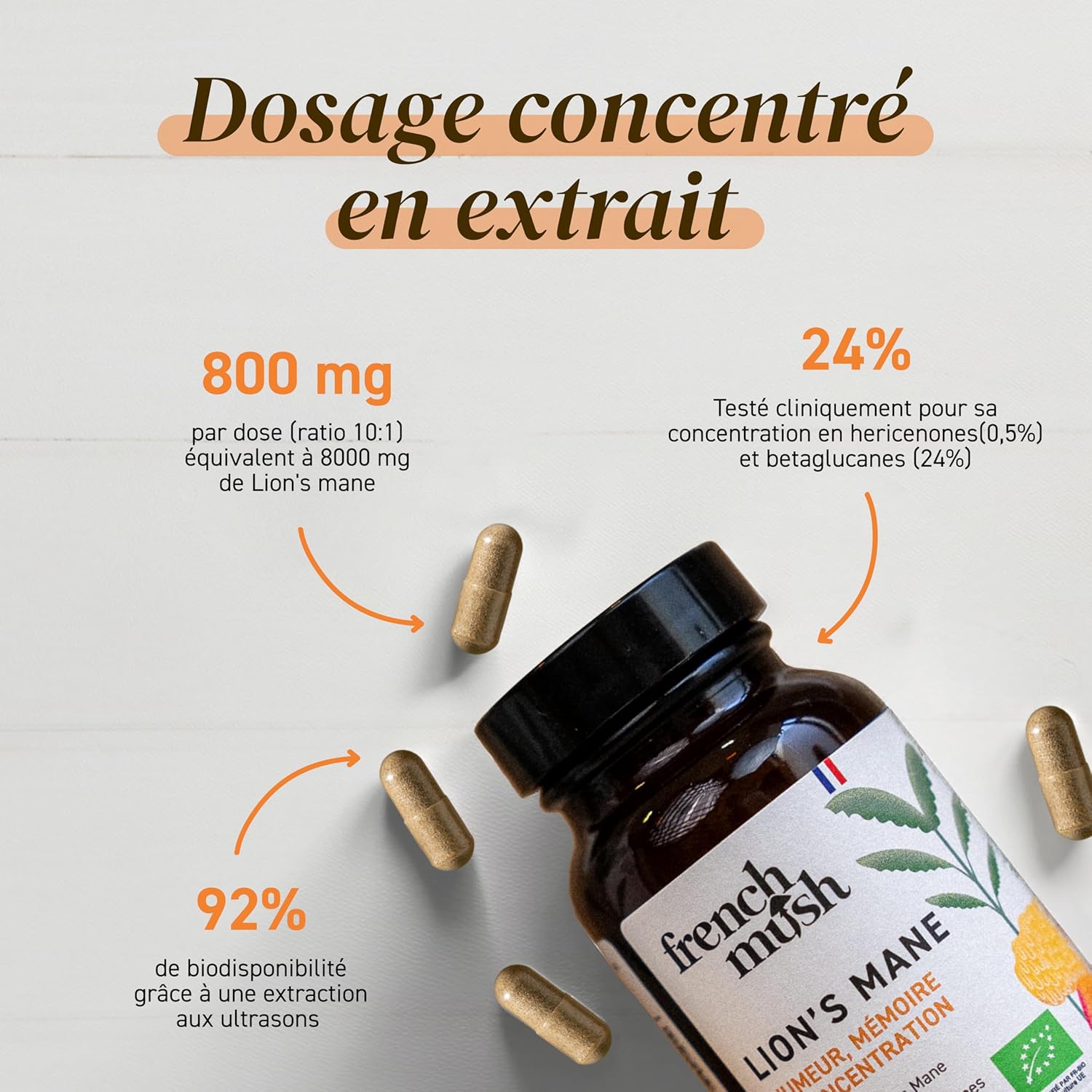 Le dosage du Lion's mane french mush