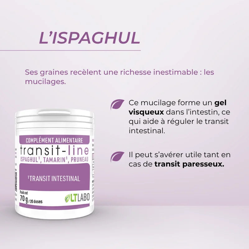 Les ingrédients de Transit-line