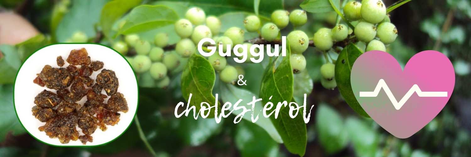 Une photo de guggul en arrière plan, avec le texte "Guggul et cholestérol" ajouté au premier plan.