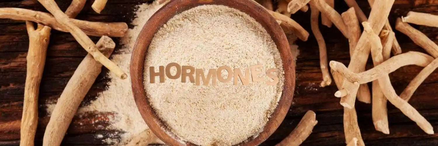Ashwagandha et hormones féminines : les bienfaits de cette plante aux multiples vertues