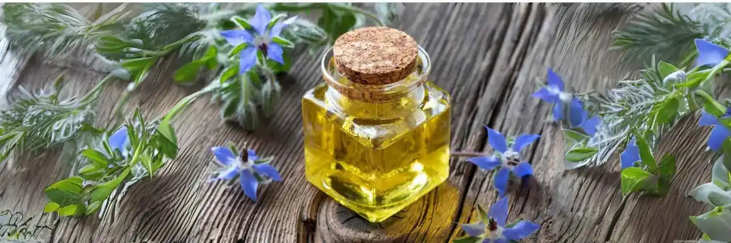 Huile de bourrache : les surprenants bienfaits anti-âge pour les peaux matures