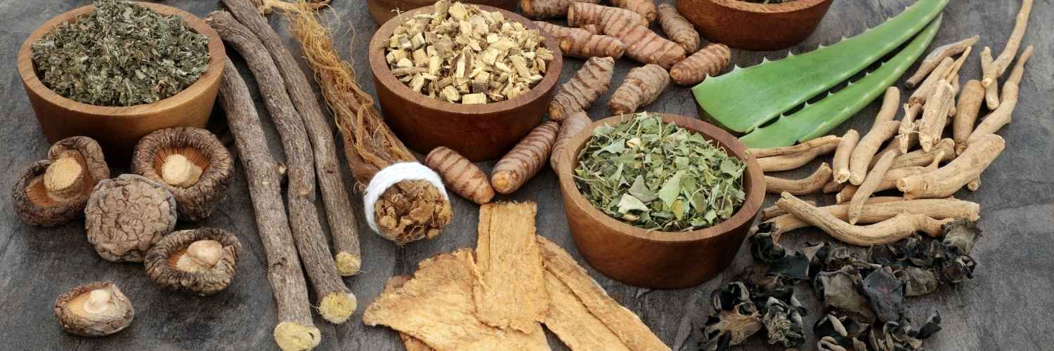 Ashwagandha, Reishi ou Lion’s Mane : quel adaptogène est fait pour vous ?