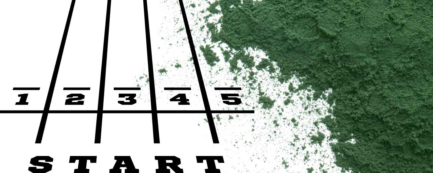 Spiruline pour le sport : 5 bienfaits de cette algue pour les sportifs