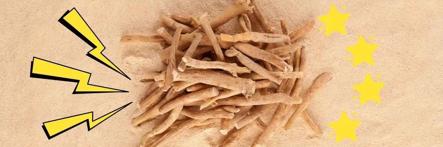 Ashwagandha : bienfaits et effets secondaires de cette plante adaptogène puissante