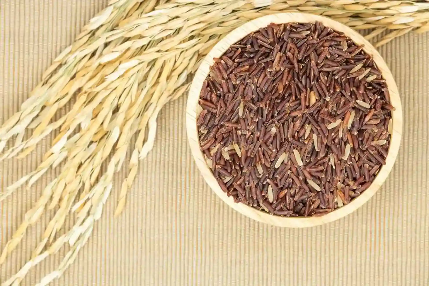 Une bol rempli de grains de gaba, pris en photo vue de dessus