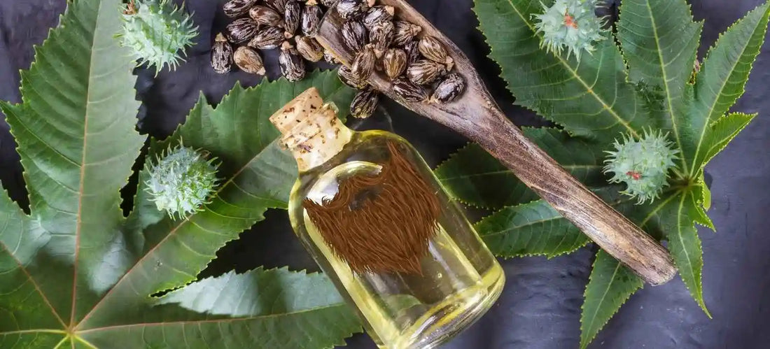 Photo d'un flacon d'huile de ricin avec un logo de barbe, posé sur du feuillage vert
