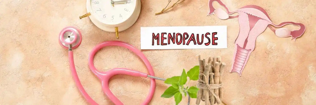 Un stéthoscope rose, une horloge, des herbes et une illustration d’utérus pour la ménopause