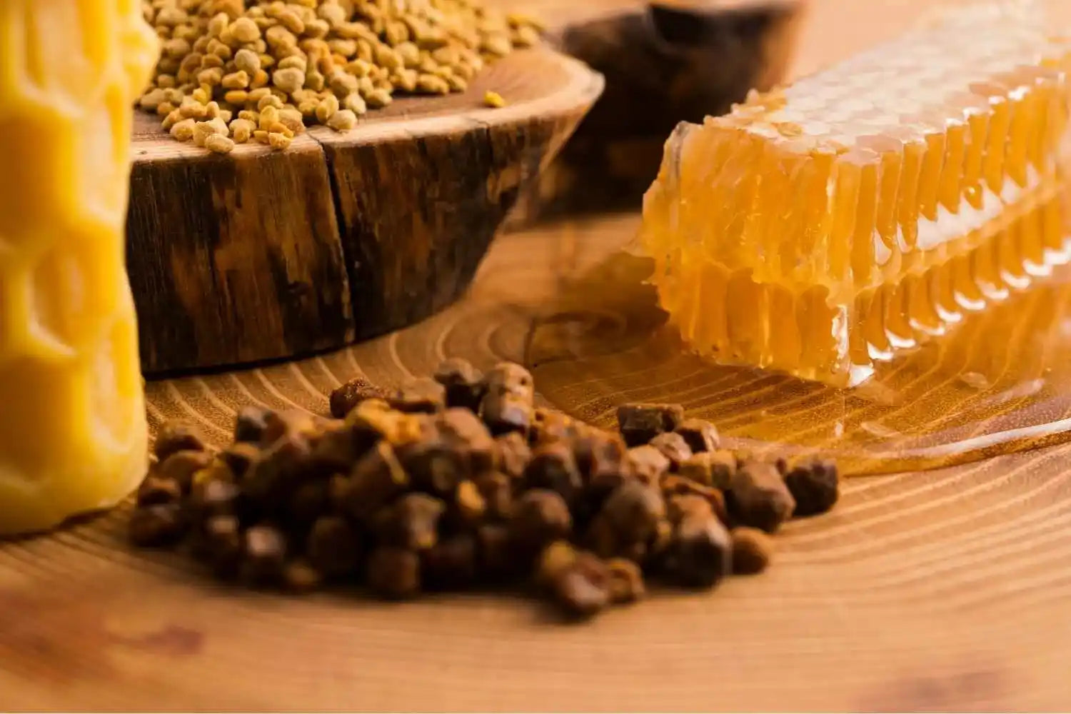 Propolis noire : origine, bienfaits et utilisation