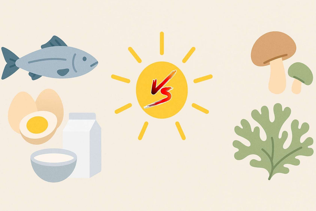 Illustration montrant la différence entre D2 (champignons, lichen) et D3 (poissons, œufs, produits laitiers), avec un soleil au centre