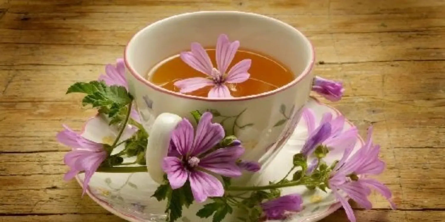 Une infusion de mauve crépue