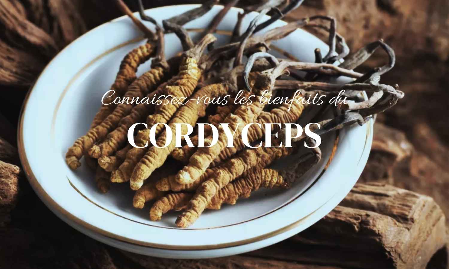 Focus sur le Cordyceps : Un allié naturel pour booster vos performances physiques et mentales