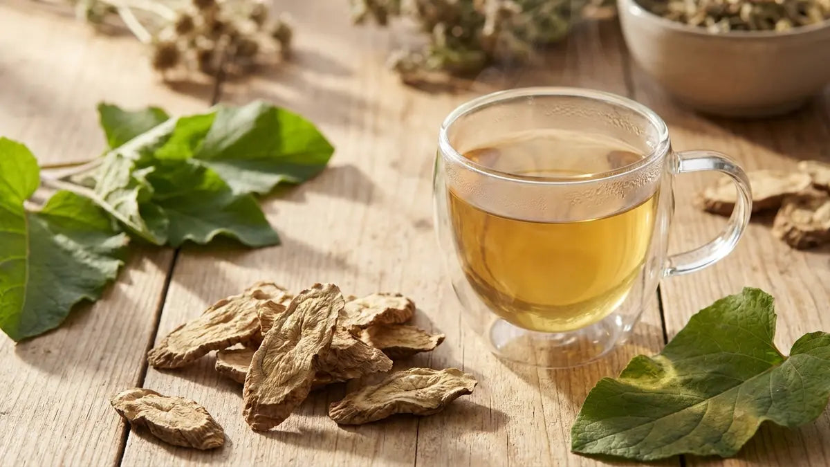 Racine de bardane séchée et feuilles fraîches avec tisane pour cure détox herbale