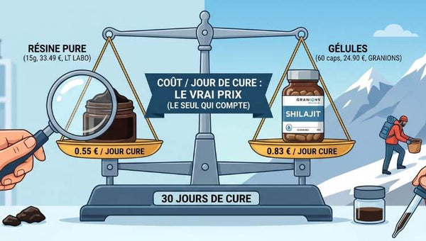 Prix du shilajit : ce qui justifie (vraiment) un pot à 15 € ou à 75 €