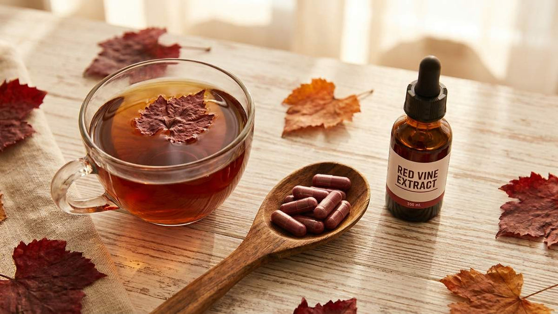 Comparaison des formes de vigne rouge : tisane, gélules et extrait liquide pour la circulation