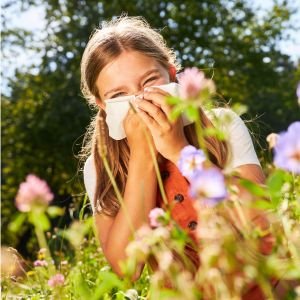 Les bienfaits du Kudzu et ses effets secondaires, sans détour