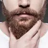 Photo d'une barbe