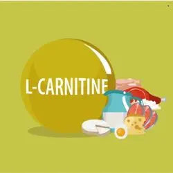 Illustration d'une grande gélule de L-carnitine entourée d'aliments qui en contiennent