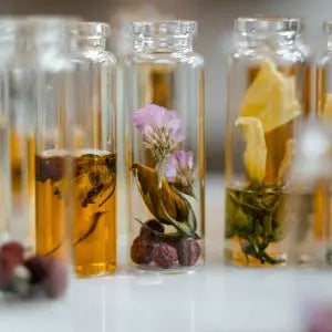 Flacons de parfum en verre contenant des fleurs et des plantes