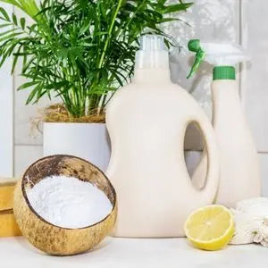 Bidons de produits d'entretien écologiques, bicarbonate et citron à côté d'une plante
