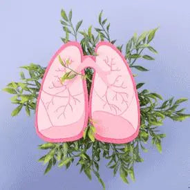 Illustration de deux poumons entourés de feuilles, représentant la nature