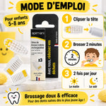 Têtes brosse à dents rechargeable Apimani enfant 3-pack avec mode d'emploi brossage 2 minutes