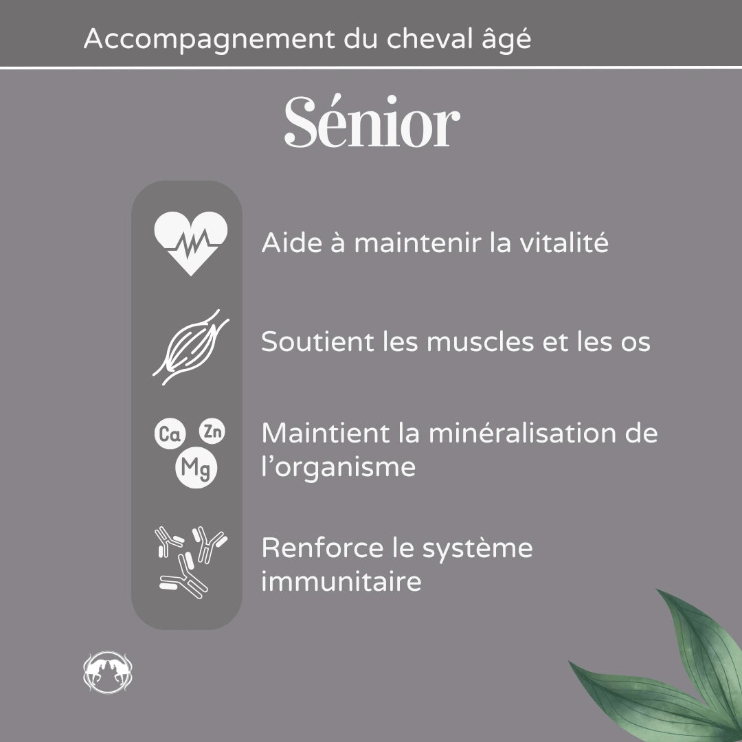 Bienfaits du complément alimentaire pour Cheval Sénior de la marque Naturacheval