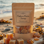 Sachet kraft avec fenêtre transparente étiqueté "Caillou d’Ambre Impérial" laissant apparaître des cubes parfumés.
Le produit est posé sur une table en bois massif, entouré de gousses de vanille, de pierres d'ambre brut et d'un bouquet de fleurs séchées en arrière-plan.