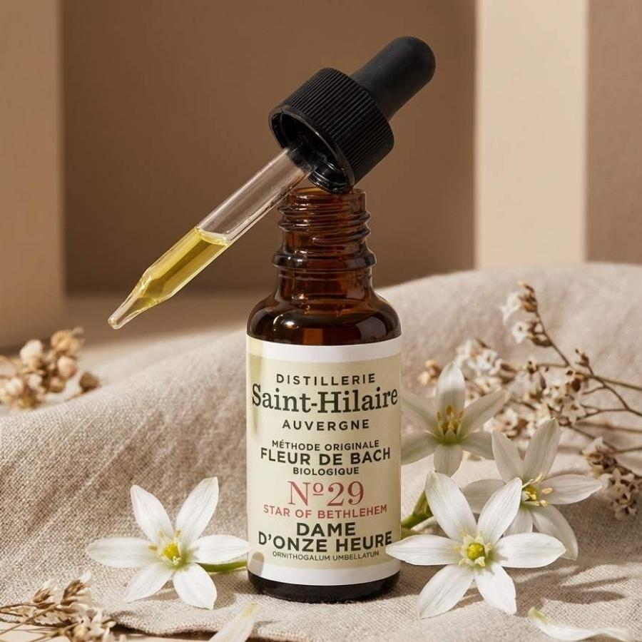 Un flacon saint hilaire dame de onze heure de 20ml.