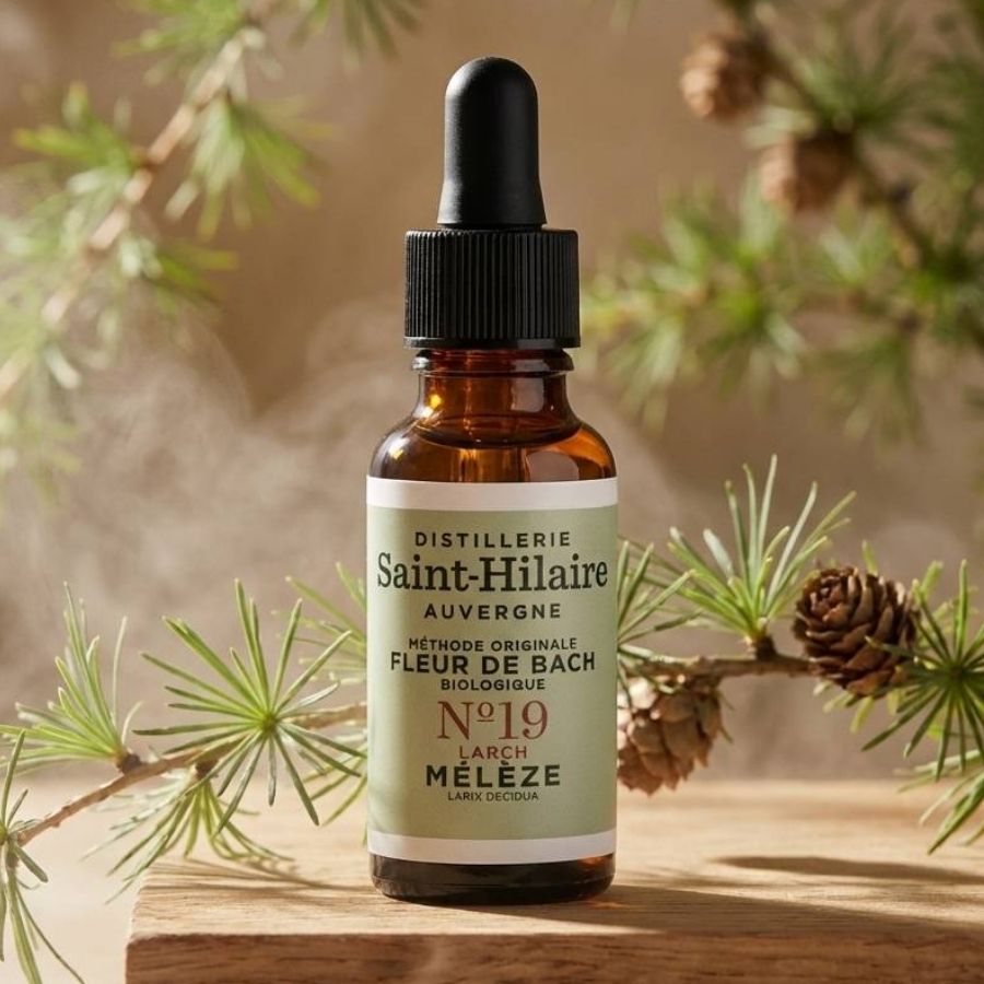 Un flacon de 20ml de fleur de bach meleze de la distillerie saint hilaire.