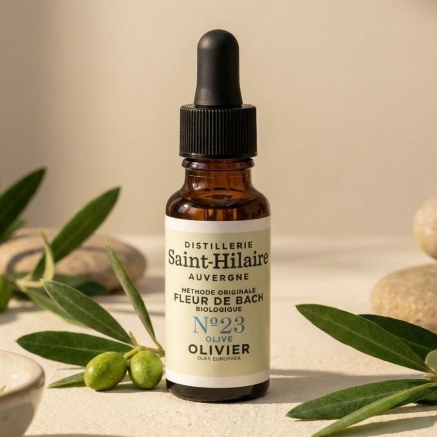Un flacon de 20ml de la distillerie saint hilaire olive accompagné d'olives et posé sur un sol beige.