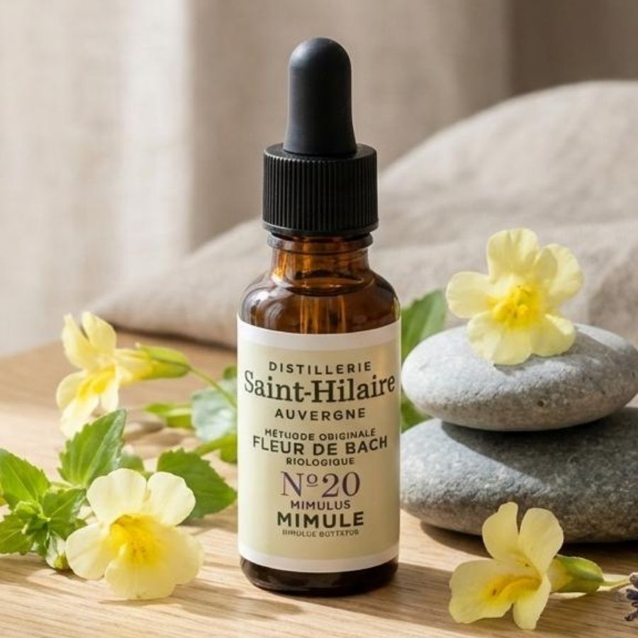Un flacon de la distillerie saint hialire posé sur une table en bois accoppagné de fleur de mimulus.