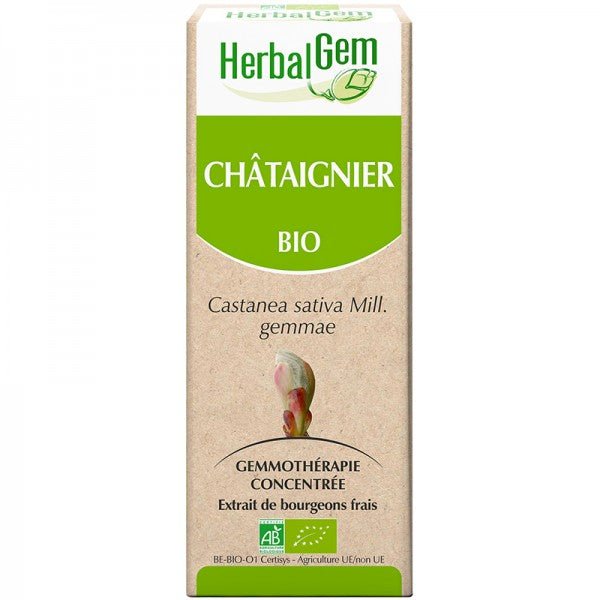Châtaignier Bio - Extrait De Bourgeons Frais - 30 Ml - HerbalGem