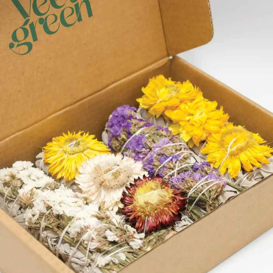 Le coffret de 4 sauges immortelles dans son carton.