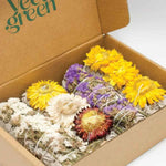 Le coffret de 4 sauges immortelles dans son carton.