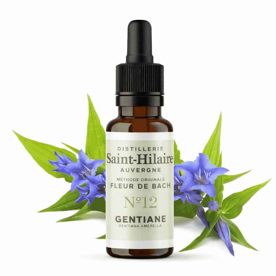 Flacon de 20ml de fleur de bach gentiane de la distillerie saint hilaire accompagné de fleur en arrière plan du produit.
