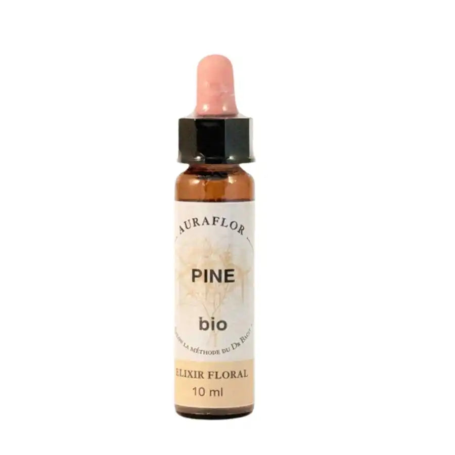 Fleur de Bach Pin Sylvestre bio 10 ml Dioter – Remède naturel pour la culpabilité et l'auto-jugement