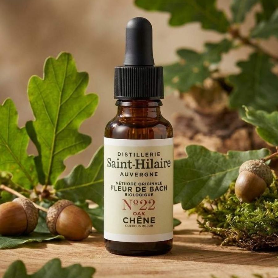 Un flacon de 20ml fleur de bach de chêne de saint hilaire.