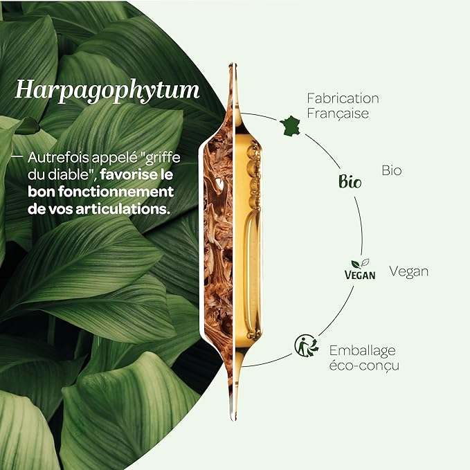 Les bienfaits de l'Harpagophytum