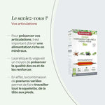 Les bienfaits sur la santé de l'Harpagophytum