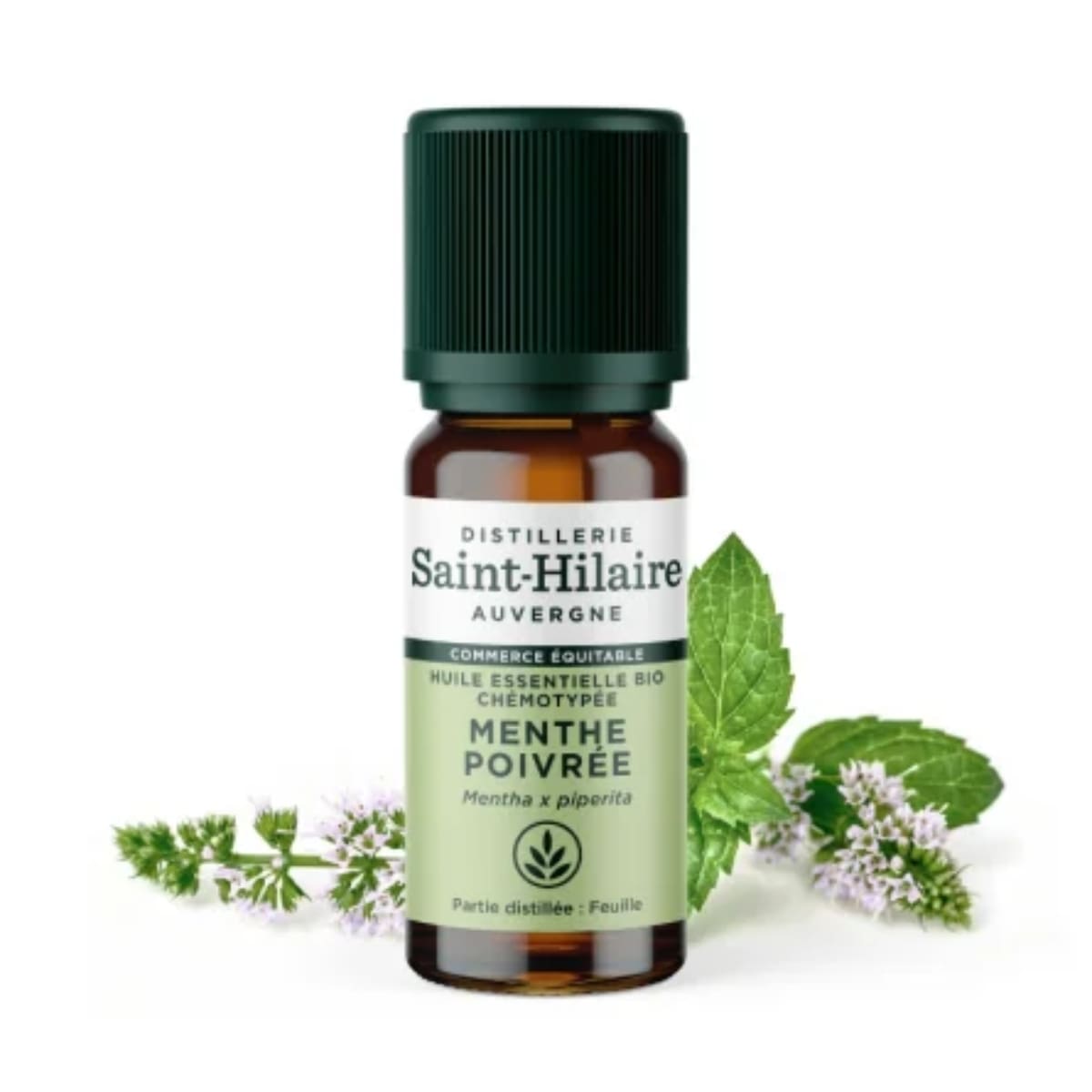 Un flacon de 10ml d'huile essentielle de menthe poivrée de la distillerie Saint-Hilaire accompagné de feuilles de menthe en arrière plan.