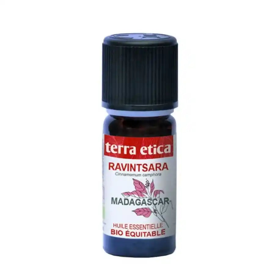 huile essentielle ravintsara 10ml terra etica