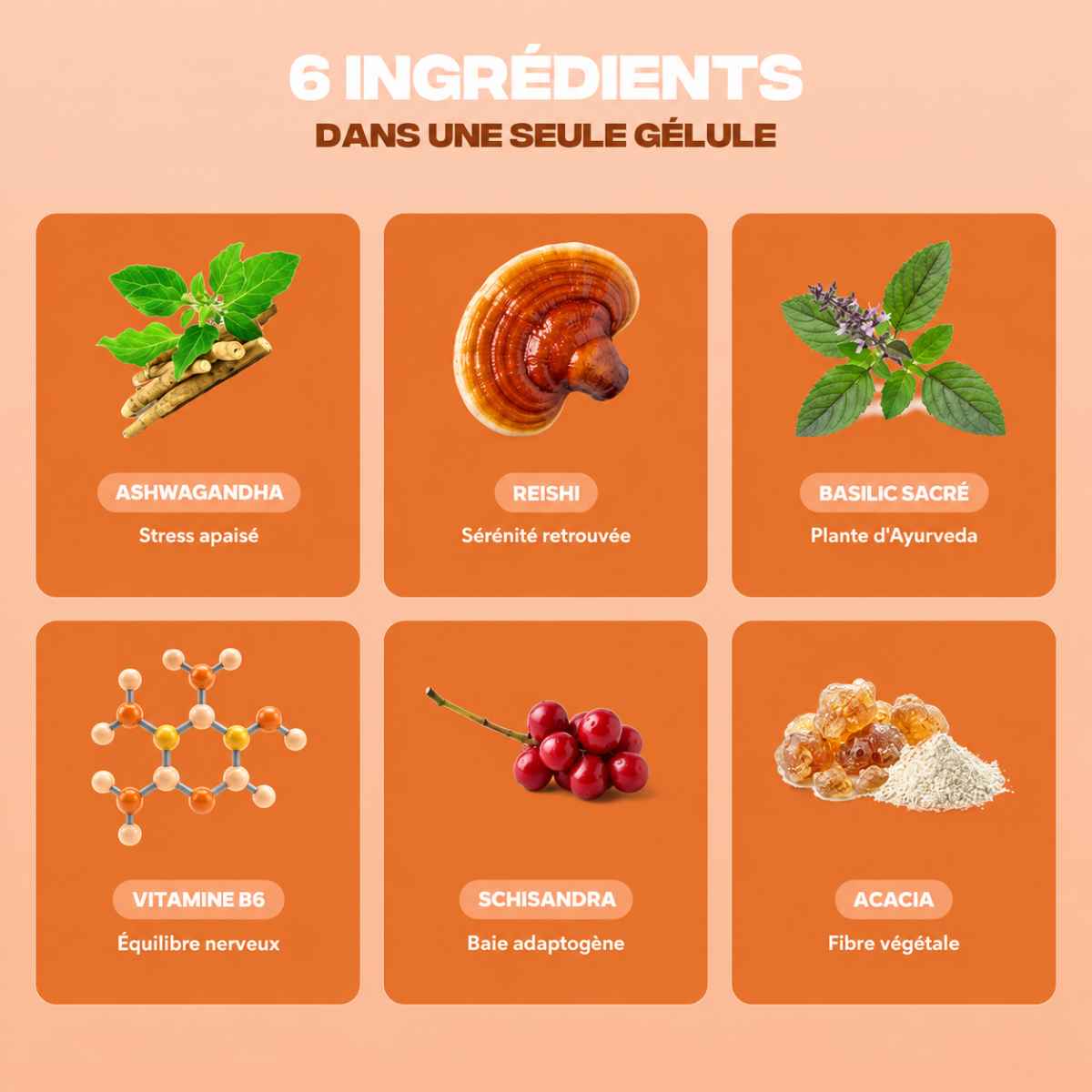 Ingrédients de la gélule Anti-Stress : Ashwagandha, Reishi & Vitamine B6 — Sérénité, Anti-Anxiété