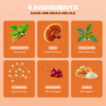 Ingrédients de la gélule Anti-Stress : Ashwagandha, Reishi & Vitamine B6 — Sérénité, Anti-Anxiété